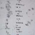 Firefly