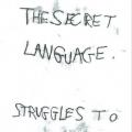 Secret Language