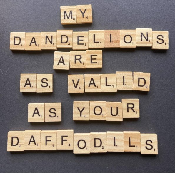 Dandelions